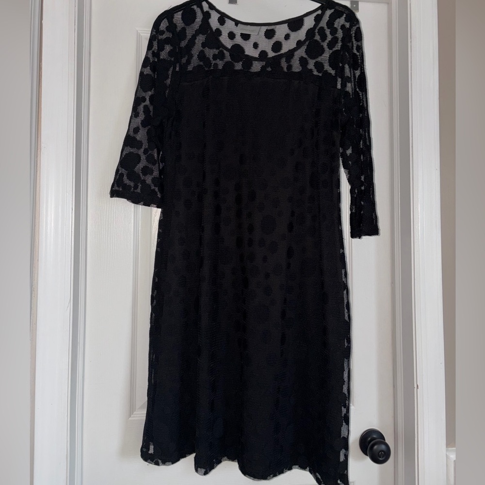 Avenue Black Polka Dot Lace Dress